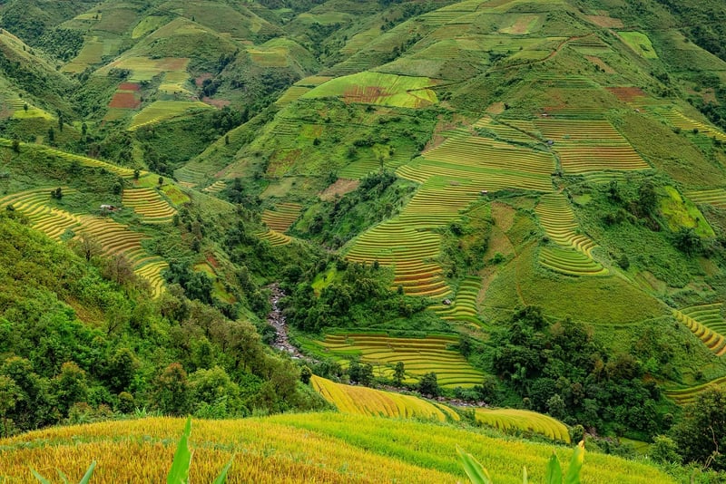 Dragon's Backbone Rice Terraces
